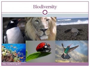 Biodiversity http earthref orgSCC Biodiversity Biodiversity refers to