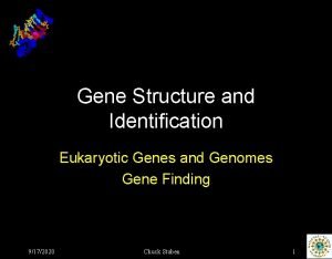 Gene Structure and Identification Eukaryotic Genes and Genomes