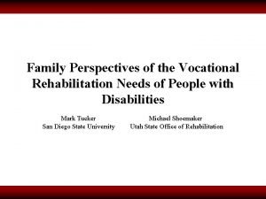 Family Perspectives of the Vocational Rehabilitation Needs of