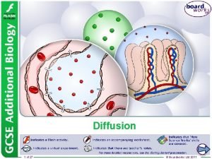 Why is diffusion important