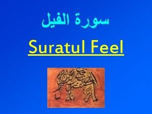 Suratul feel