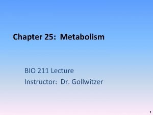 Chapter 25 Metabolism BIO 211 Lecture Instructor Dr