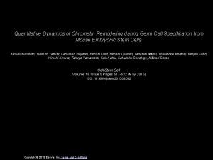 Quantitative Dynamics of Chromatin Remodeling during Germ Cell