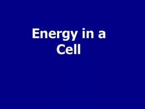 Energy in a Cell All Cells Need Energy