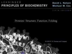 Proteins Structure Function Folding 2009 W H Freeman