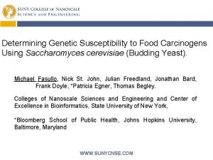 Determining Genetic Susceptibility to Food Carcinogens Using Saccharomyces