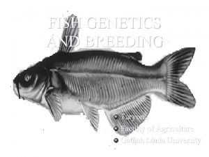 FISH GENETICS AND BREEDING Taryono Faculty of Agriculture