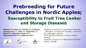 Nordic apples