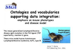 Ontologies and vocabularies supporting data integration emphasis on