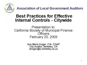 Association of local government auditors