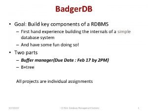 Badger database