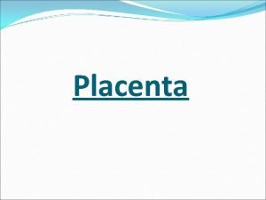 Placenta Placenta Fetomaternal organ It connects the growing