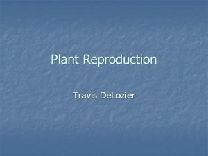 Plant Reproduction Travis De Lozier Terms n n