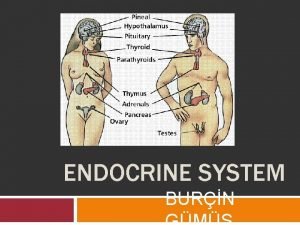 Burning calories part/gland and the effect Burning calories part/gland and the effect