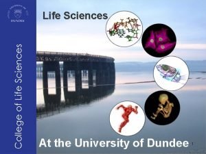 Life science dundee