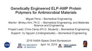 Genetically Engineered ELPAMP Protein Polymers for Antimicrobial Materials