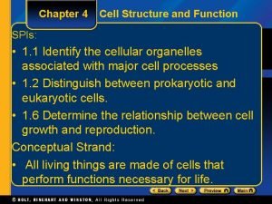 Section 4-3 cell organelles and features