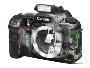 Photography comes from the greek words photos and graphos Photography comes from the greek words photos and graphos