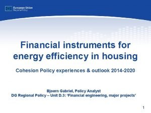 Financial instruments for energy efficiency in housing Cohesion