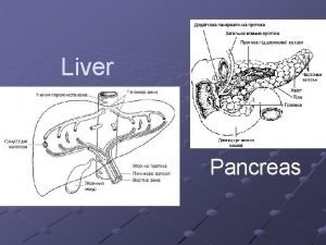 Liver Pancreas Function of liver 1 Syntesis Bile