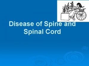 Disease of Spine and Spinal Cord THE SPINAL