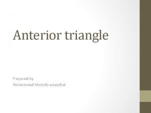 Anterior triangle Prepared by Muhammad Mustafa yousafzai Anterior