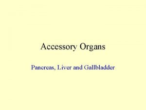 Accessory Organs Pancreas Liver and Gallbladder Pancreas Secretes
