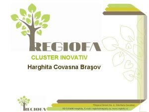CLUSTER INOVATIV Harghita Covasna Braov FONDAT n 2011
