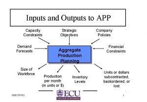 Inputs and Outputs to APP Capacity Constraints Demand