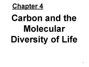 Chapter 4 Carbon and the Molecular Diversity of