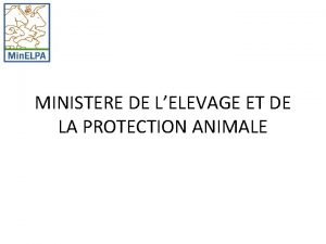 MINISTERE DE LELEVAGE ET DE LA PROTECTION ANIMALE