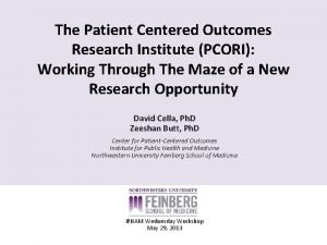 The Patient Centered Outcomes Research Institute PCORI Working