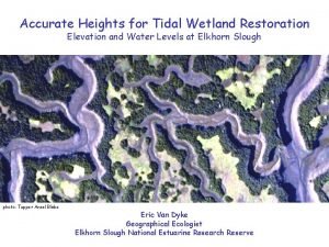 Accurate Heights for Tidal Wetland Restoration Elevation and