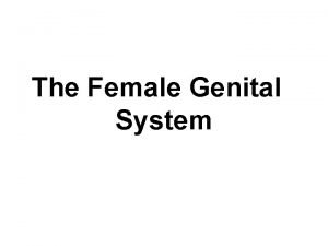 The Female Genital System TOPICS Vulva Cervix Endometrium