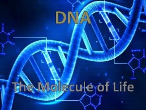 Dna the molecule of life