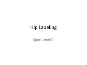 Hip Labeling Sports med 2 The Hip Sports
