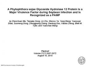 A Phytophthora sojae Glycoside Hydrolase 12 Protein Is