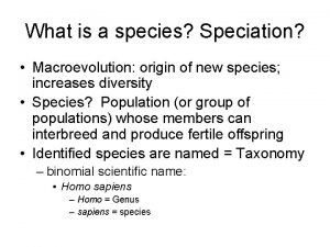 What is a species Speciation Macroevolution origin of
