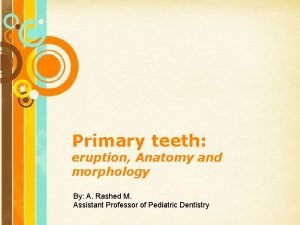 Primary teeth eruption Anatomy and morphology By A