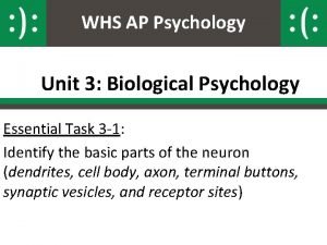 WHS AP Psychology Unit 3 Biological Psychology Essential