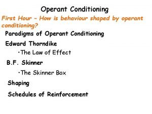 Law of effect thorndike