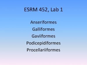 ESRM 452 Lab 1 Anseriformes Galliformes Gaviiformes Podicepidiformes