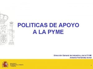 POLITICAS DE APOYO A LA PYME Direccin General