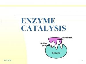 ENZYME CATALYSIS 9172020 1 ENZYMES n n Globular