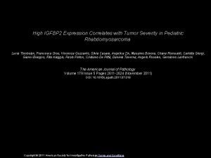 High IGFBP 2 Expression Correlates with Tumor Severity