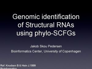 Genomic identification of Structural RNAs using phyloSCFGs Jakob