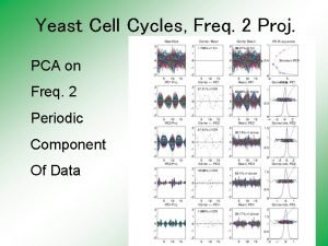 Yeast Cell Cycles Freq 2 Proj PCA on