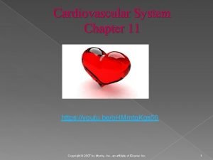 Cardiovascular System Chapter 11 https youtu beo HMmtq