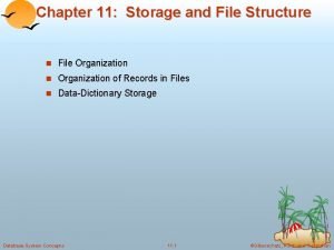 Chapter 11 Storage and File Structure n File