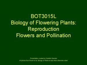 BOT 3015 L Biology of Flowering Plants Reproduction